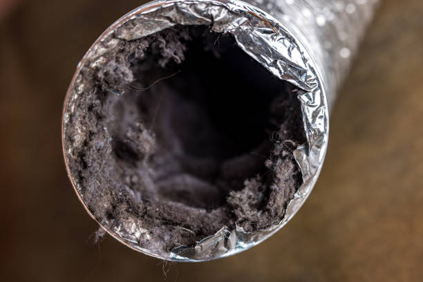 Best Affordable Duct Cleaning Services  in North Potomac, MD